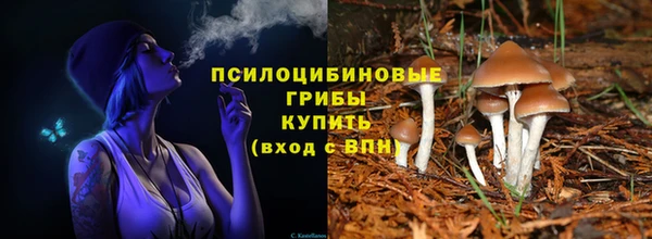 мефедрон мука Новодвинск