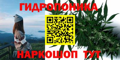 гашишное масло Баксан