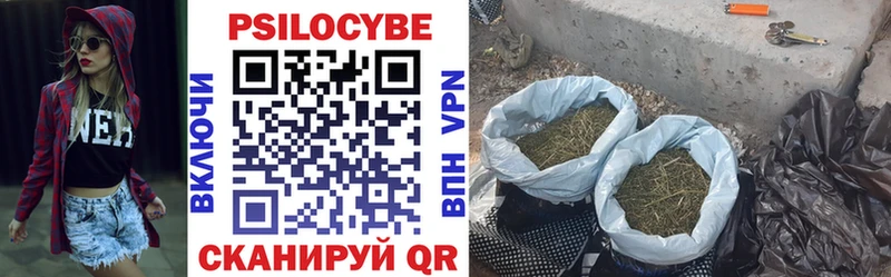 Псилоцибиновые грибы прущие грибы  наркота  Братск 
