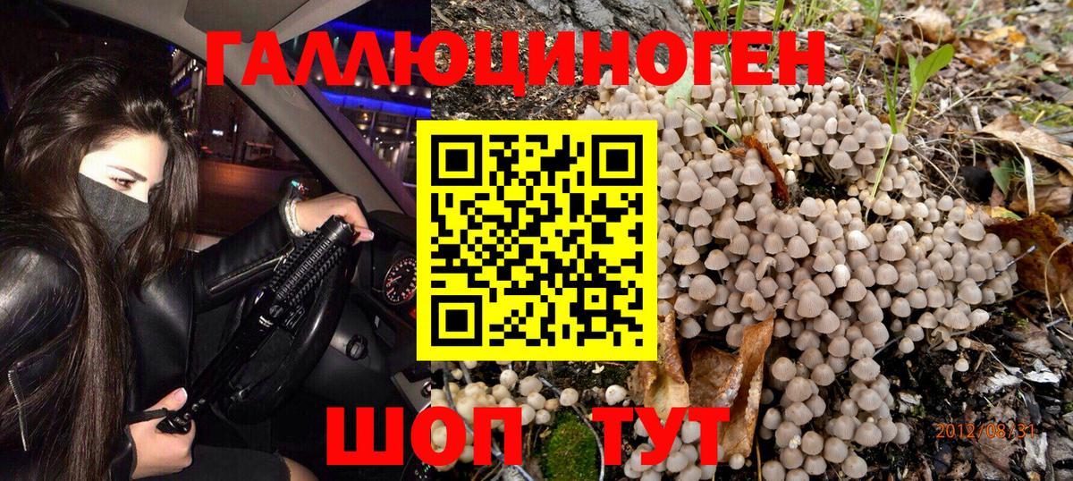 Псилоцибиновые грибы Psilocybine cubensis  Вход с VPN  Галлюциногенные грибы мухоморы  Братск 